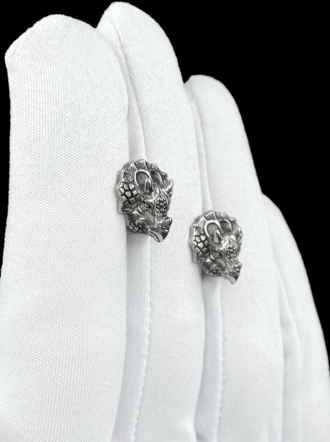 These silver triceratops head stud earrings bring prehistoric charm into a refined, wearable form. Crafted from real silver with intricate detailing, each piece captures the lifelike texture and strength of this iconic dinosaur in a subtle yet striking design. (etsy image id: 7981434428)