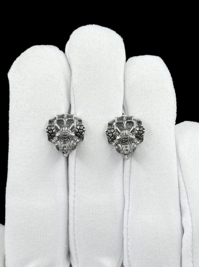 These silver triceratops head stud earrings bring prehistoric charm into a refined, wearable form. Crafted from real silver with intricate detailing, each piece captures the lifelike texture and strength of this iconic dinosaur in a subtle yet striking design. (etsy image id: 7981434428)